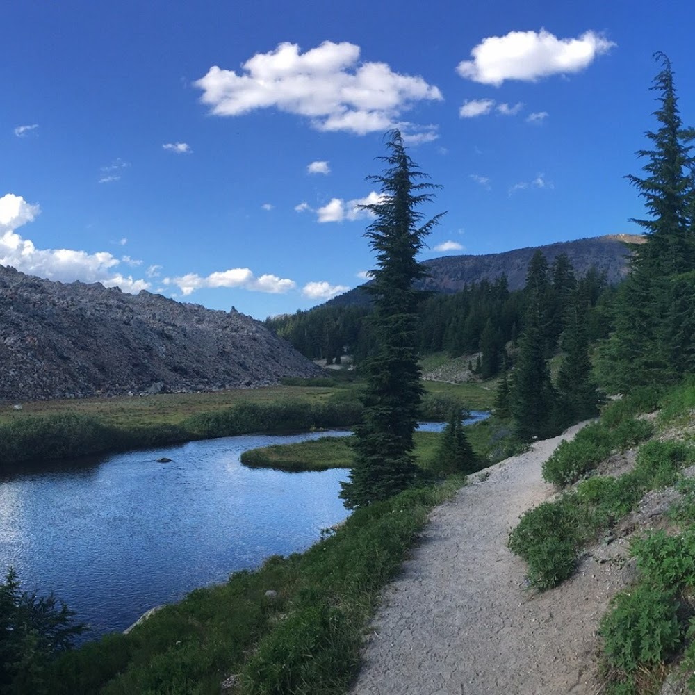 Meet your Posher, Liz